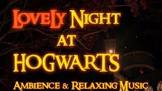 Harry Potter  Lovely Night at Hogwarts  Ambience amp Relaxing Music [upl. by Anegue]