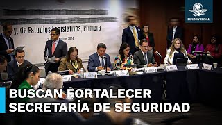 Comisiones del Senado aprueban reforma para fortalecer a la SSPC [upl. by Vijnas]