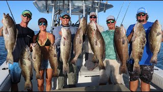 Crystal River Grouper Fishing Part 2 [upl. by Aicelef]