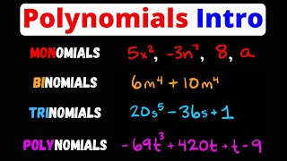 Intro to Monomials Binomials Trinomials Polynomials amp Terms  Eat Pi [upl. by Siroved]