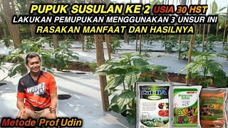 USIA 30 HST  GUNAKAN 3 UNSUR INI RASAKAN MANFAAT DAN HASILNYA  CABE METODE MAS UDIN [upl. by Yentroc]