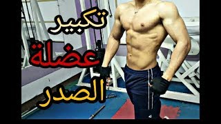 تمارين ستساعدك في تكبير الصدر في اقرب وقت ممكنSuperset Chest [upl. by Willtrude]