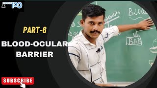 BloodOcular Barrier  structure and functional significance [upl. by Lennor799]