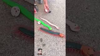 fishing rcsnake fish toys snake beyblade rc unboxing funny [upl. by Oisinoid]