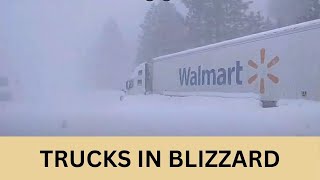 Semi Trucks and Cars Are Tightly Stuck in California Nevada Blizzard [upl. by Durnan]