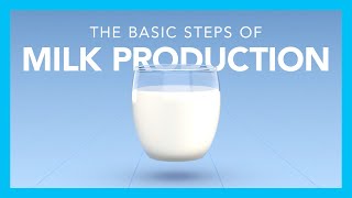 The basic steps of milk production [upl. by Ojoj]