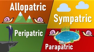 Speciation Allopatric Sympatric Parapatric Petripatric II Types of Speciation [upl. by Snah]