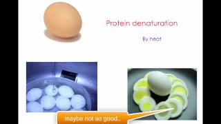 protein digestion and denaturation [upl. by Brier]