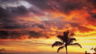 Big Island Hawaii Tropical Coconut Palm Tree Sunsets [upl. by Ginnie288]