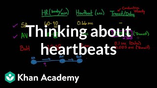 Thinking about heartbeats  Circulatory system physiology  NCLEXRN  Khan Academy [upl. by Lezned339]