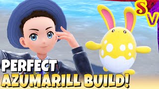 PERFECT AZUMARILL Best Tera Raid Build Guide Bellydrum Huge Power EV amp IV Trained Adamant [upl. by Areehs473]