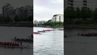 Interesting dragon boat race in Vancouver 🇨🇦travel sportdragon boat ￼￼￼ [upl. by Anits]