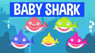 😃 BABY SHARK  Comptines et chansons pour enfants [upl. by Charles]