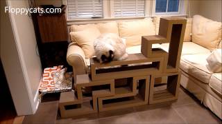 Ragdoll Cats Receive Papercut Lab Katris Cardboard Cat Scratchers for Review  ねこ  Floppycats [upl. by Cirilo454]