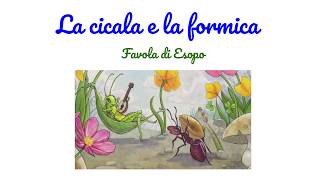 La cicala e la formica 🐜🦗 maestra scuola scuolaprimaria didattica favola Esopo favoladiEsopo [upl. by Dallis]