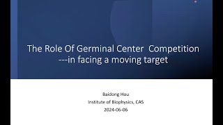 Germinal center competition [upl. by Jake]