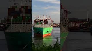 Containerschiff Montmartre wird in den Waltershofer Hafen gedreht Zeitraffer Hamburg [upl. by Ainak]