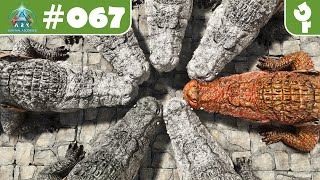 ARK Survival Ascended 067  Šlechtění Deinosuchů 🐊🐊🐊 [upl. by Weinberg534]