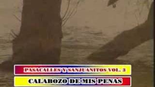 sanjuanito calabozo de mis penas musica ecuatoriana djrally73 [upl. by Yssenhguahs]