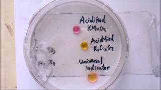 microscale chem experiment [upl. by Jarin]