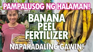 BALAT NG SAGING PAMPATABA NG HALAMAN Banana Peel Fertilizer Tutorial  Haydees Garden [upl. by Nylsej]