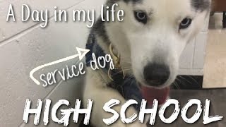 A Day In My Life  High School with a Service Dog [upl. by Neumann]