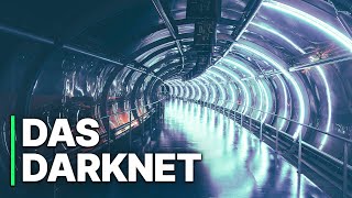 Das Darknet  Illegale Aktivitäten  Doku HD [upl. by Anawit436]