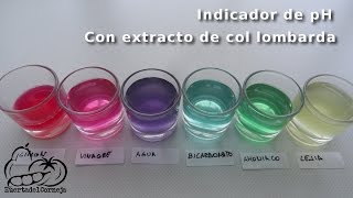 Como hacer un indicador de pH con el extracto de col lombarda [upl. by Fai]