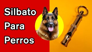 Silbato para Perros llama a tu Perro [upl. by Refinnaej469]