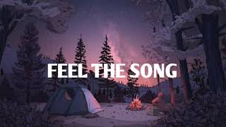 feel the song lofi song song [upl. by Bucella905]