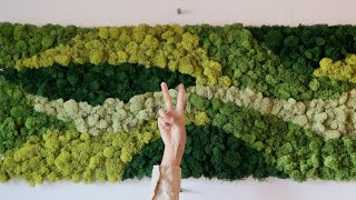 EASY DIY moss wall art statement piece 🥦🥦 [upl. by Ulda]