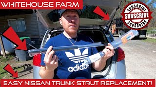 How To Replace Rear Liftgate Trunk Struts On A Nissan Rogue DIY [upl. by Lexy]