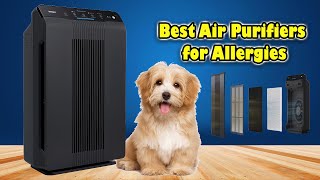 The best Air Purifier Winix 55002  The Ultimate Air Purifier for Allergy Sufferers [upl. by Gmur]