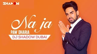 Pav Dharia  Na Ja  DJ Shadow Dubai Remix [upl. by Eenerb]