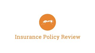 Insurance Policy Review  AntWorks [upl. by Rock148]