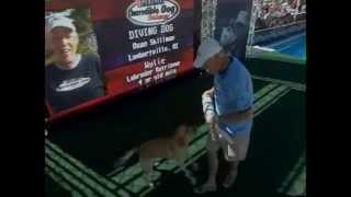 Incredible Dog Challenge 2006 diving dog missy world record 28 10quot pt2 [upl. by Odnumyer61]