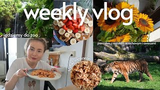 weekly vlog 🌻 jedziemy do zoo  pancakes z masłem orzechowym i owocami  szybki makaron🍝 [upl. by Asor]