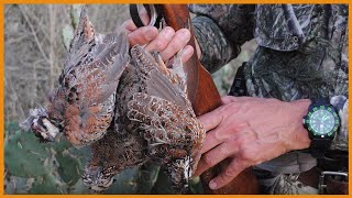 Quail Hunting Without Dogs Phew What A Workout [upl. by Tanitansy392]