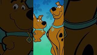 Why ScrappyDoo Was Removed From ScoobyDoo Forever [upl. by Esten]