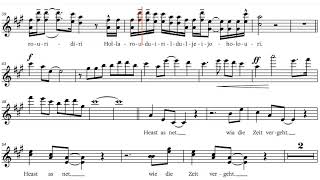 Hubert von Goisern und Die Alpinkatzen  Heast as net 1992 BbInstrument Play along [upl. by Namia]