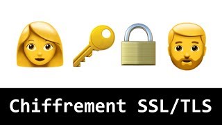 Comprendre le chiffrement SSL  TLS avec des emojis et le HTTPS [upl. by Allez783]