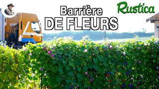 Un barrière de fleurs annuelles [upl. by Tiphane961]