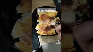 Najbolja pileca bajadera koju cete ikada probati chickenrecipe piletina [upl. by Anson]