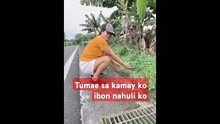 Tumae sa kamay ko ibon nahuli koshortvideo viralvideo [upl. by Ateloj]