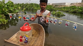 Today top amazing hunting betta Caught all lovely and beautiful fighting betta fish [upl. by Adrial]