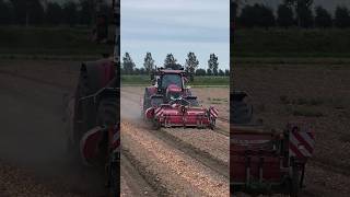 Onion harvest🧅 Case Optum 340 AFS l Nixs Farm [upl. by Elyse68]