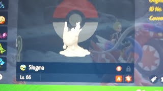 Shiny Slugma in Pokemon Scarlet shiny pokemon [upl. by Aneleiram]