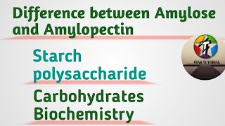 Difference between Amylose ll Amylopectin ll Carbohydrates ll Biochemistry [upl. by Chemush]