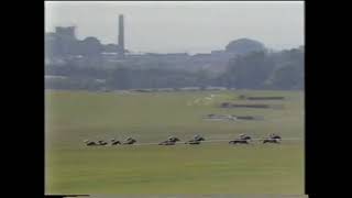 1989 Irish Derby Old Vic [upl. by Lauryn]