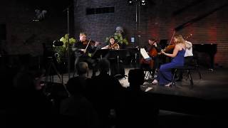 Boccherini String Quintet Op42 No 2 Mvt 2  Minuetto CoucheronWeldePhelpsRexBaltacigil [upl. by Eckblad]